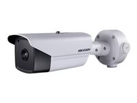 Hikvision DS-2TD2136-15