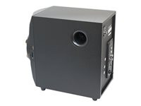 Boytone BT-324F