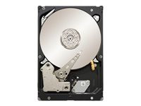 Seagate Constellation ES ST31000524NS