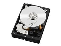 WD RE WD1003FBYZ