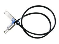 Veritas SAS Cable for Disk Drive Shelf