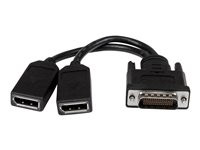 StarTech.com 8in LFH 59 Male to Dual Female DisplayPort DMS 59 Cable