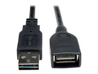 Tripp Lite 10ft USB 2.0 High Speed Extension Cable Reversible A to A M/F 10'