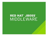 Red Hat JBoss Data Virtualization Development