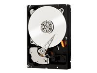 WD RE WD2503ABYZ