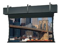 Da-Lite Tensioned Professional Electrol Video Format