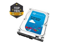 Seagate Enterprise NAS HDD ST2000VN0001