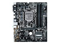 ASUS PRIME B250M-A