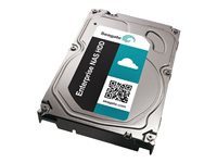 Seagate Enterprise NAS HDD ST3000VN0001
