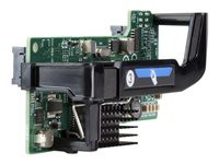 HPE FlexFabric 536FLB