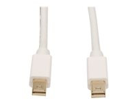 Tripp Lite 3ft Mini Displayport to Mini DisplayPort Adapter Converter mDP to mDP 4k x 2k @ 60Hz M/M 3'