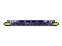 Extreme Networks BlackDiamond BDXB-100G4X-XL