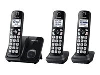 Panasonic KX-TGD513B