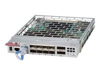 Supermicro MicroBlade MBM-GEM-003I