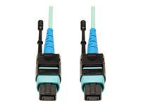 Tripp Lite 10M MTP / MPO Patch Cable 24 Fiber 100GbE Aqua OM3 Plenum 33ft 33' 10 Meter