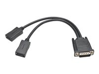 Tripp Lite 1ft DMS-59 to Dual DisplayPort Splitter Y Cable M/Fx2 1'