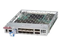 Supermicro MicroBlade MBM-GEM-003S