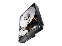 Seagate Constellation ES.3 ST2000NM0033