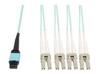Tripp Lite 3M Fiber Optic Fan-out Cable MTP / MPO to 8 x LC 40GbE OM3 Plenum 10ft 10' 3 Meter