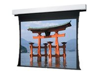 Da-Lite Tensioned Advantage Deluxe Electrol Wide Format