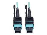 Tripp Lite 10M MTP / MPO Patch Cable 12 Fiber 40GbE Aqua OM3 Plenum 33ft 33' 10 Meter