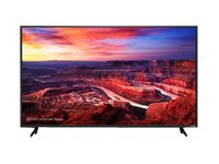 VIZIO SmartCast E65-E0 Ultra HD Home Theater Display