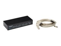 Black Box ServSwitch DT
