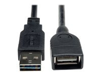 Tripp Lite 6in USB 2.0 High Speed Extension Cable Reversible A to A M/F 6"