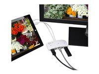 SIIG Mini-DP Video Dock with USB 3.0 LAN Hub