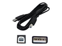 AddOn 10.0ft USB 2.0 (A) to USB 2.0 (B) Adapter Cable