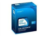 Intel Pentium G6950