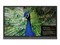 BenQ RP654K