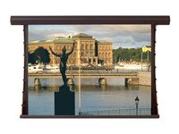 Draper Silhouette/Series V HDTV Format