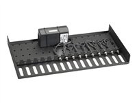 Black Box Economy Powered Rackmount Tray