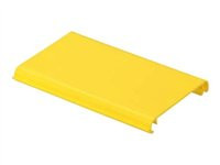 Panduit FiberRunner 4x4 Snap-On Hinged Cover