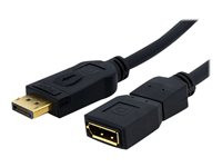 StarTech.com 6 ft DisplayPort Video Extension Cable