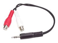 StarTech.com 6in Stereo Audio Cable