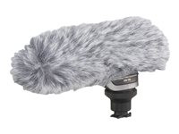 Canon DM-100