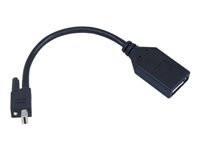 Matrox TripleHead2go upgrade