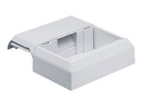 Panduit Workstation Outlet Center Offset Box
