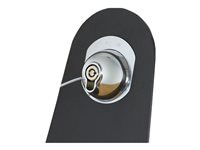 Kensington SafeStand Keyed Locking Station
