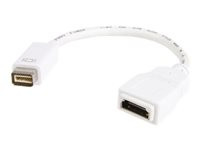 StarTech.com Mini DVI to HDMI Video Adapter for Macbooks and iMacs- M/F