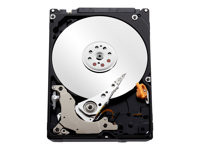 WD Blue WD10JPVT