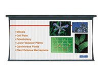 Da-Lite Tensioned Large Cosmopolitan Electrol Video Format w Low Voltage Control System