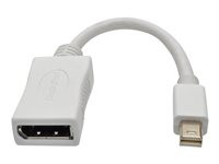 Tripp Lite 6in Mini DisplayPort to DisplayPort Adapter Converter 4K@60Hz 6"