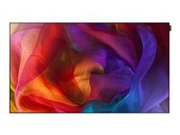 Samsung UE55D
