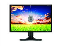NEC MultiSync P221W-BK-SV